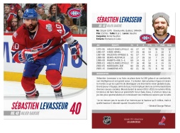 carte_hockey_sebatien_levasseur